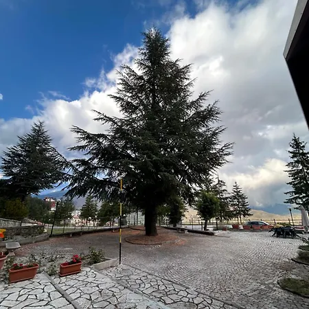 Igea Domus
